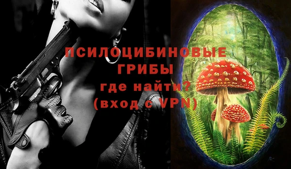бошки Покровск