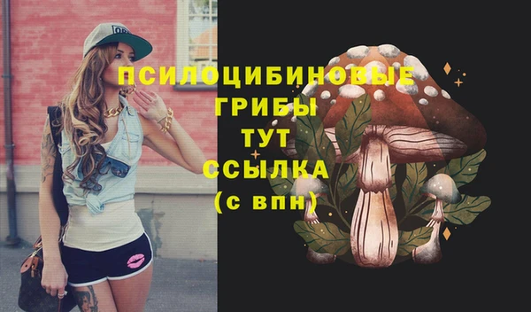 стафф Протвино