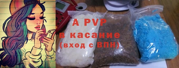 стафф Покачи