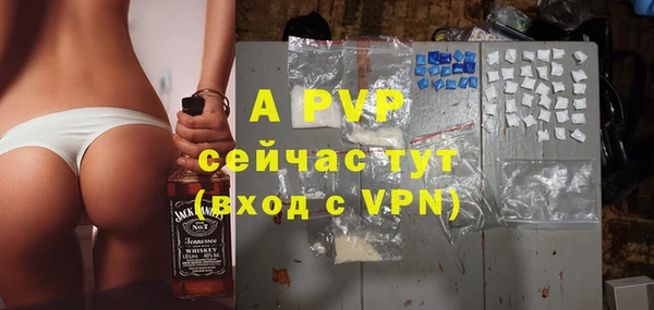 стафф Протвино
