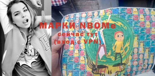 стафф Протвино